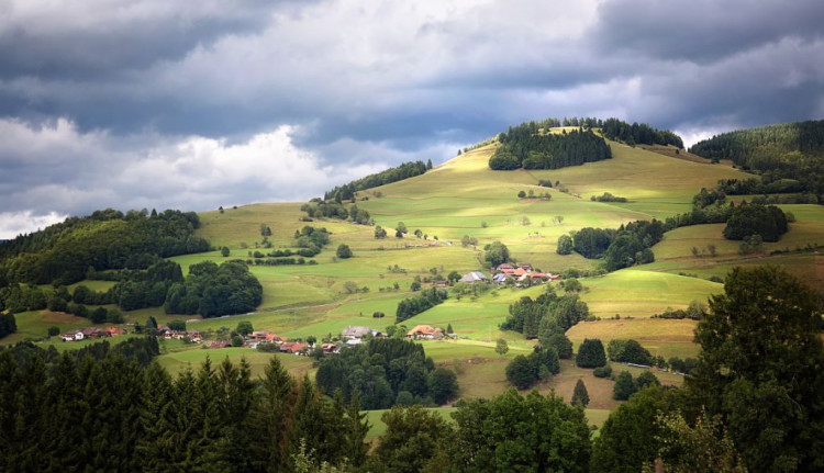 Satte Weideflächen in Fröhnd

